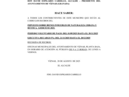Impuesto sobre bienes inmuebles de naturaleza urbana y rústica. Ejercicio 2025