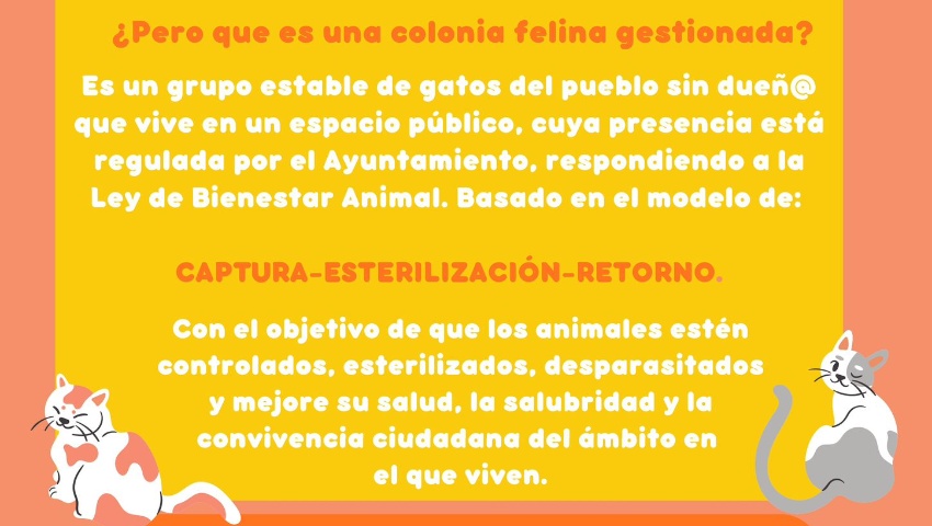 Gestión de una colonia felina en Víznar
